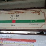 青梅高水トレイルラン