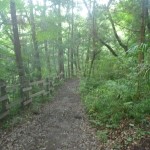 野津田トレイル